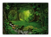 Poster (F245) wilder grner tropischer  Dschungel
