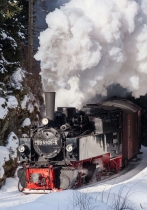 Poster (S815) Dampflok