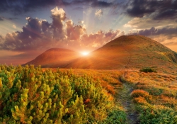 Poster (F210) Sommerlandschaft