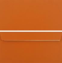 Caribic DL Umschlag Orange (50 Stk)