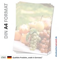 Briefpapier Frchte-5087 (100 Blatt)