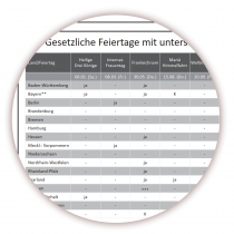 Wandkalender DIN A1 2024 Grn - gerollt