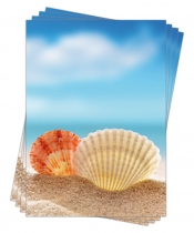 Motivpapier Briefpapier (Meer Strand-5185, DIN A4, 100 Blatt) schner Sandstrand mit Jakobsmuscheln, Muscheln am Strand