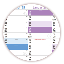 XL Schuljahreskalender DIN A1 2025/2026 ( gerollt )