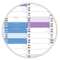 XL Schuljahreskalender DIN A1 2025/2026 ( gerollt )