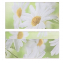 Briefumschlge Margeriten-5031 (50 Stck)