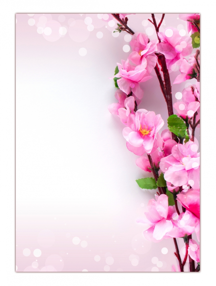 Motiv Briefpapier Kirschblüten-5187, DIN A4, 100 Blatt rosafarbene Blüten 