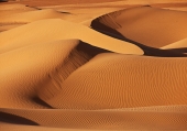 Poster (F226) Sahara Wüste