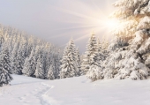 Poster (F220) Winterlandschaft