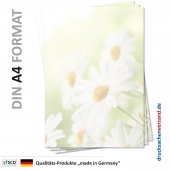 MPA-5210, DIN A4, 100 Blatt Motiv-Briefpapier Blumen Hyazinthen Schmetterlinge 