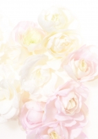 Briefpapier Blumen-5032 (100 Blatt)