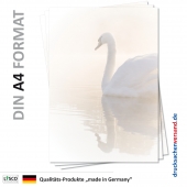 Briefpapier Tiere-5114 (100 Blatt)
