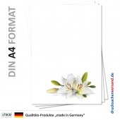 Briefpapier Blumen-5148 (100 Blatt)