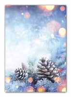 Briefpapier Tannenzapfen und Zweige Weihnachten-5252 (100 Blatt)