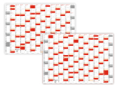 XXL Wandkalender DIN A0 2027 + 2028 (rot2)