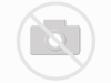 10 Stck Tortenuntersetzer mit Goldfolie 30cm